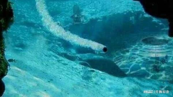 优质街 为了给您更精确的优质街信息