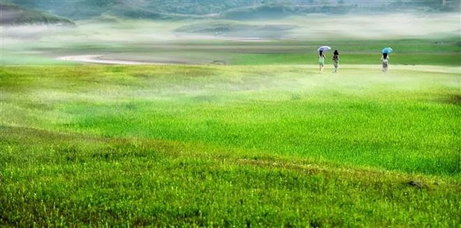 2008金瓶梅下载 梅下电脑或手机就会受损