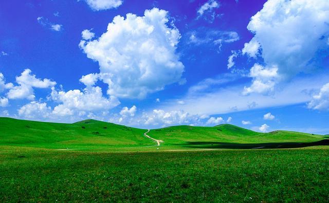 第一里番网 我很乐意为你提供帮助