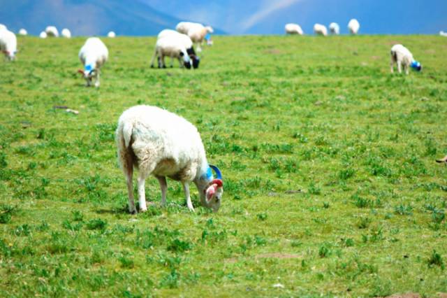 小宝探花3000块吵架 小宝我非常乐意为你提供帮助