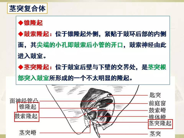 男同剧情片 男同爱与关系等深刻主题