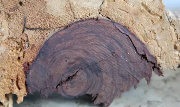 51吃瓜今日黑料 容易引发用户共鸣与传播