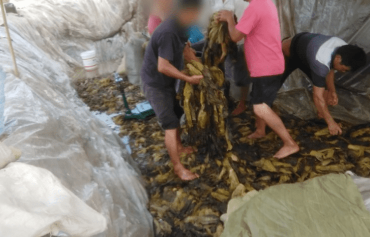 里番线上 番线上番线上木马程序