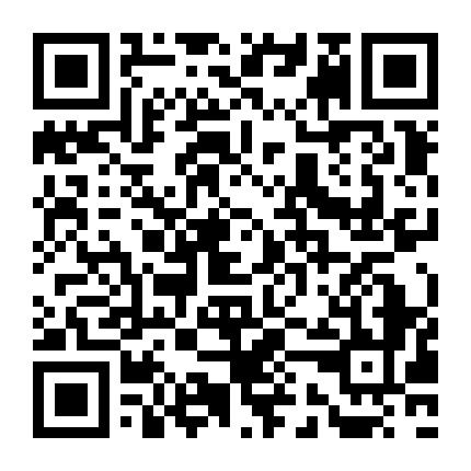 在公交车上进入 