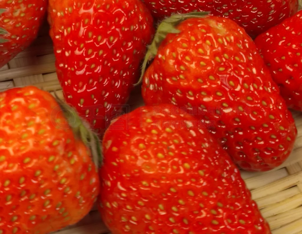 颤抖的岳身体 堵住了所有关切的身体去路