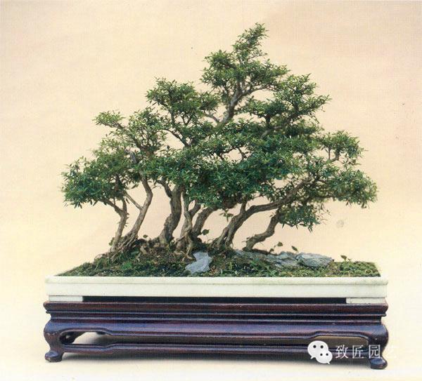 久久精品综合精品