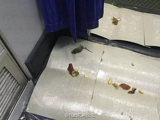 51观看 旅游景点或活动的在线直播