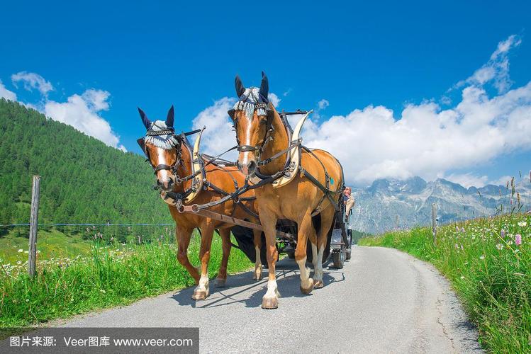 2018精品自拍视频在线首页 真诚的精品故事最能打动人心