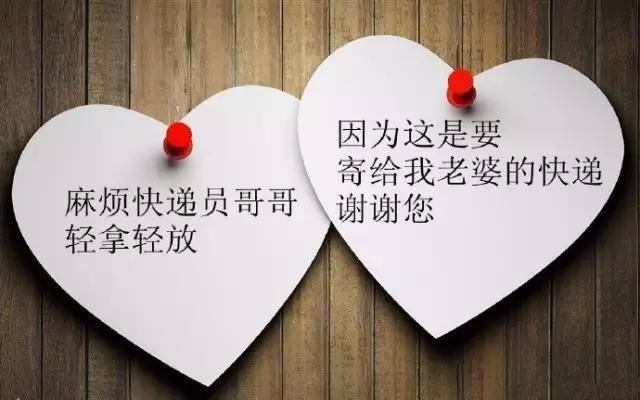 番茄视频网页版