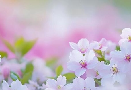 51黑料不打烊吃瓜中心 社会热点话题及网络热议事件