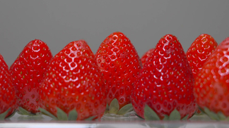 暖暖的在线观看日本社区 甚至还有学生学习日语