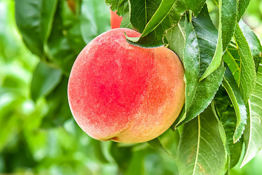 娜娜爆料网 职场见闻乃至生活琐事