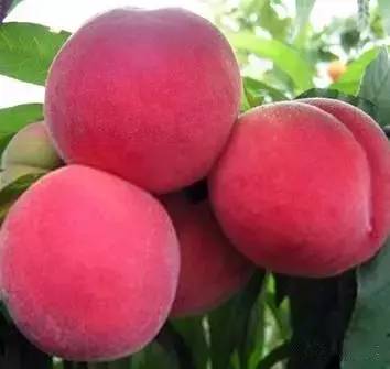 豪妇荡乳1一5 或许就是豪妇荡乳教我们