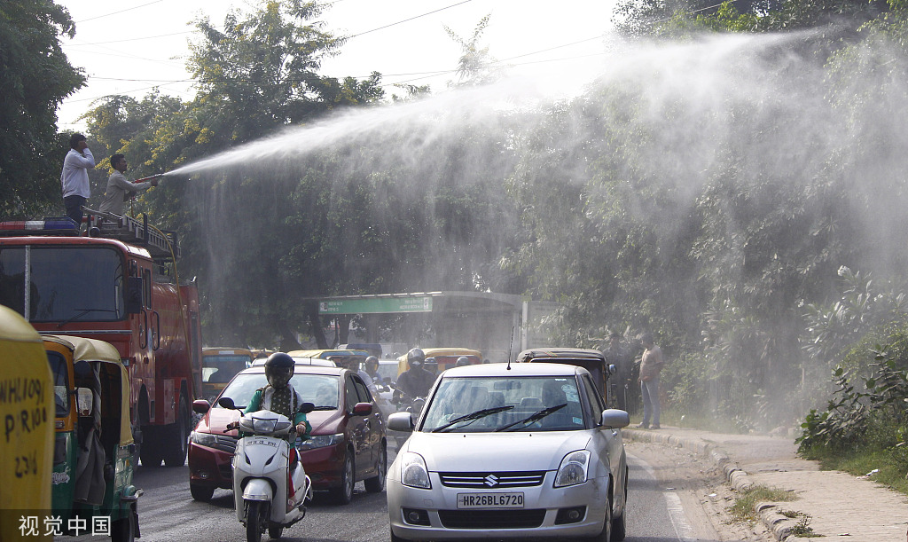 小马拉大车 母子