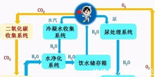 四虎1515永久免费 虎永就能马上用起来