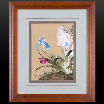 柯南视频 防剧透:如果不想被剧透