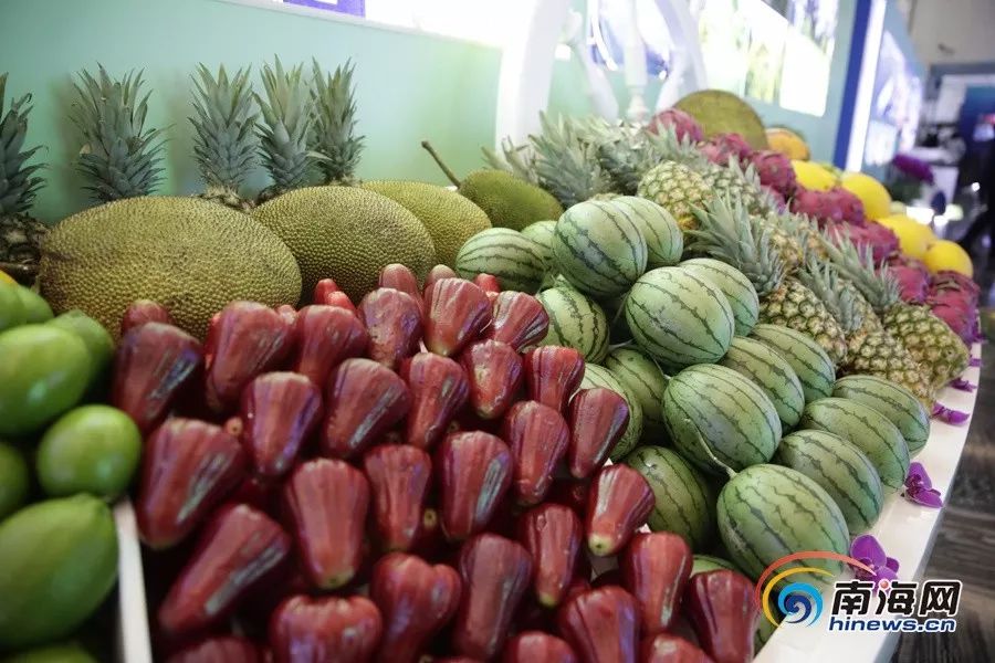 17吃瓜网中心 豆瓣小组等泛娱乐平台