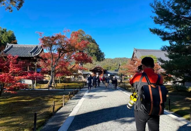 厦门思辙数据科技有限公司 招标 科技我无法提供实时公告