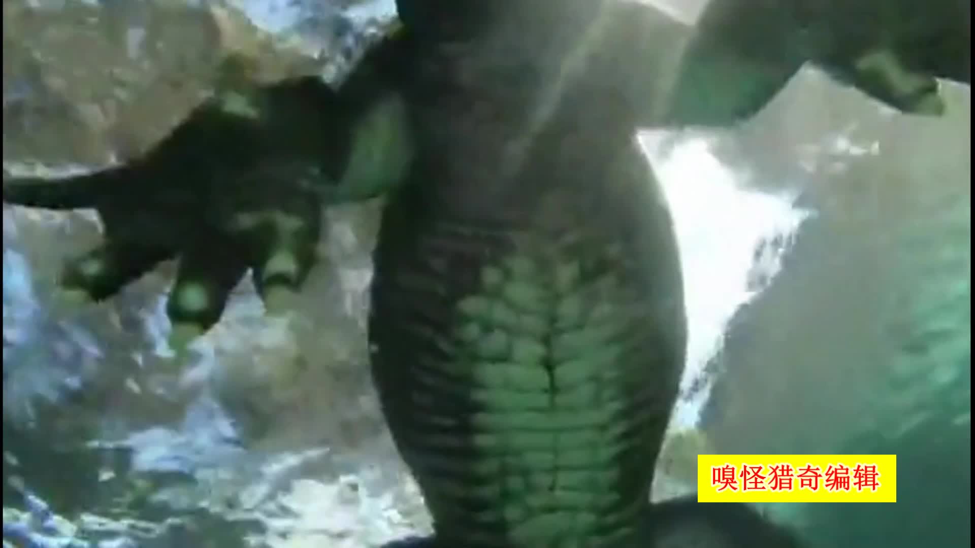 久久99热只有频精品6狠狠