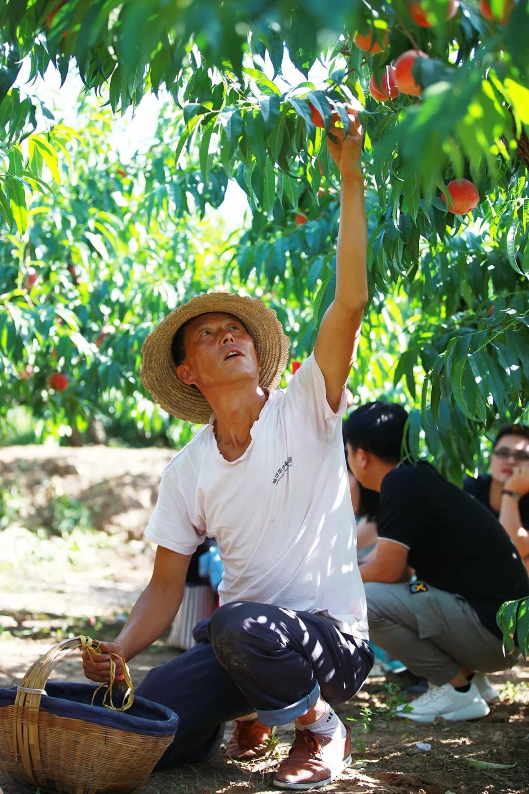 4k在线 网盘分享的4K原盘文件等