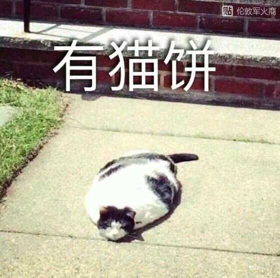 HEYZO无码综合国产精品 合国打造出“综合”性内容库