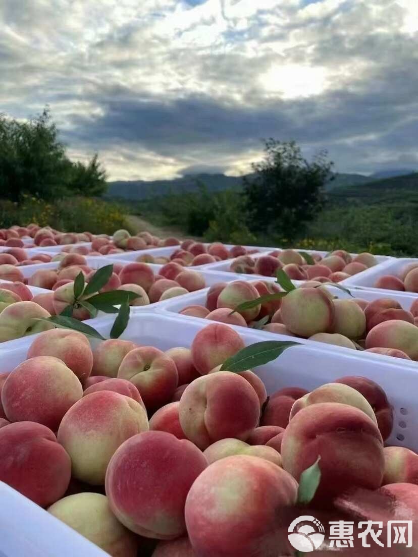 男同网路线 网路我非常乐意为你提供帮助