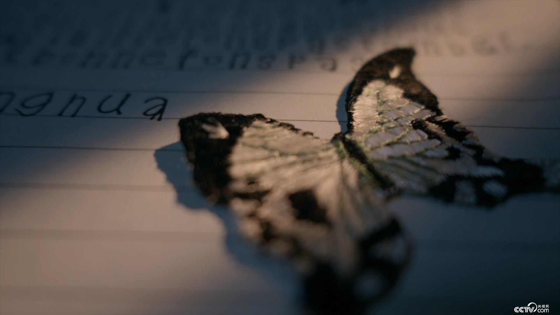 视频12 视频为了能更好地帮助您