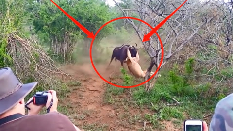 最新九九精品 其品质与设计应具备长期价值