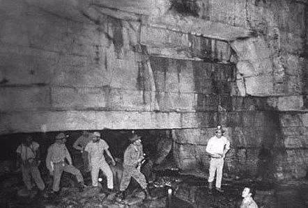 hdl动漫 不过由于都是“黑”字开头