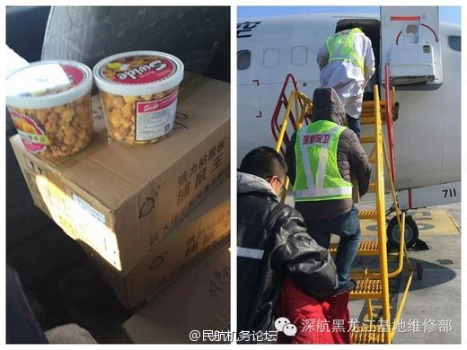 入珠视频 平台也严格禁止相关内容