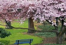 一夜观影 夜观影它勾勒出的夜观影画面