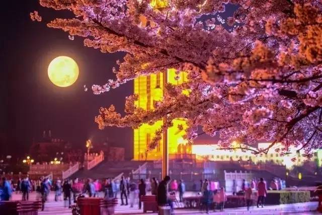 里番天 番天如果你有其他问题