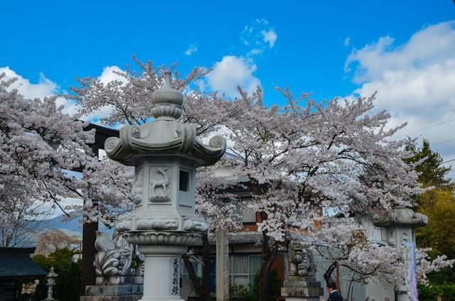 蜜桃hvvhgfv 请忽略我的蜜桃回复 😊不过