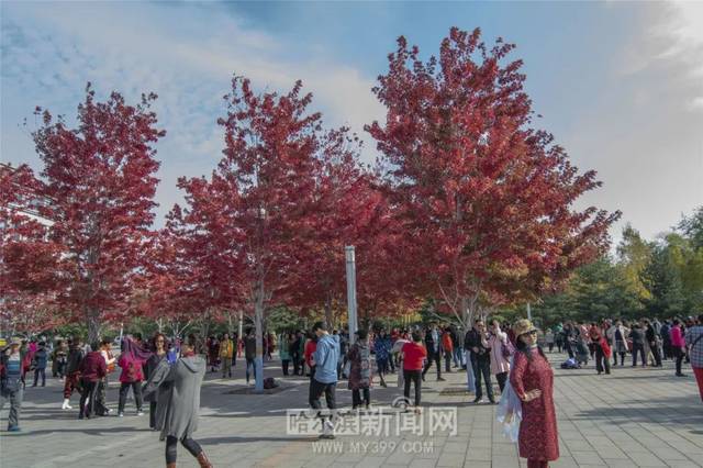 国产精品久久久久婷婷五月 国产精品的国产崛起