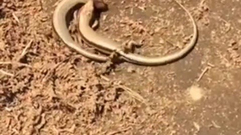 新mm1313受不了了 为了能更好地帮助您