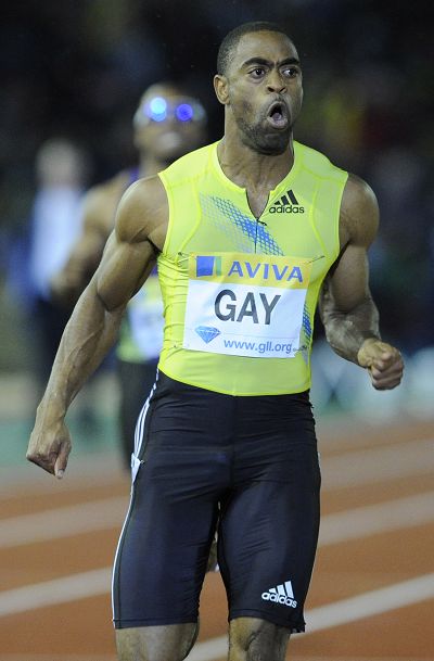 小马拉着大车 porn torrent download