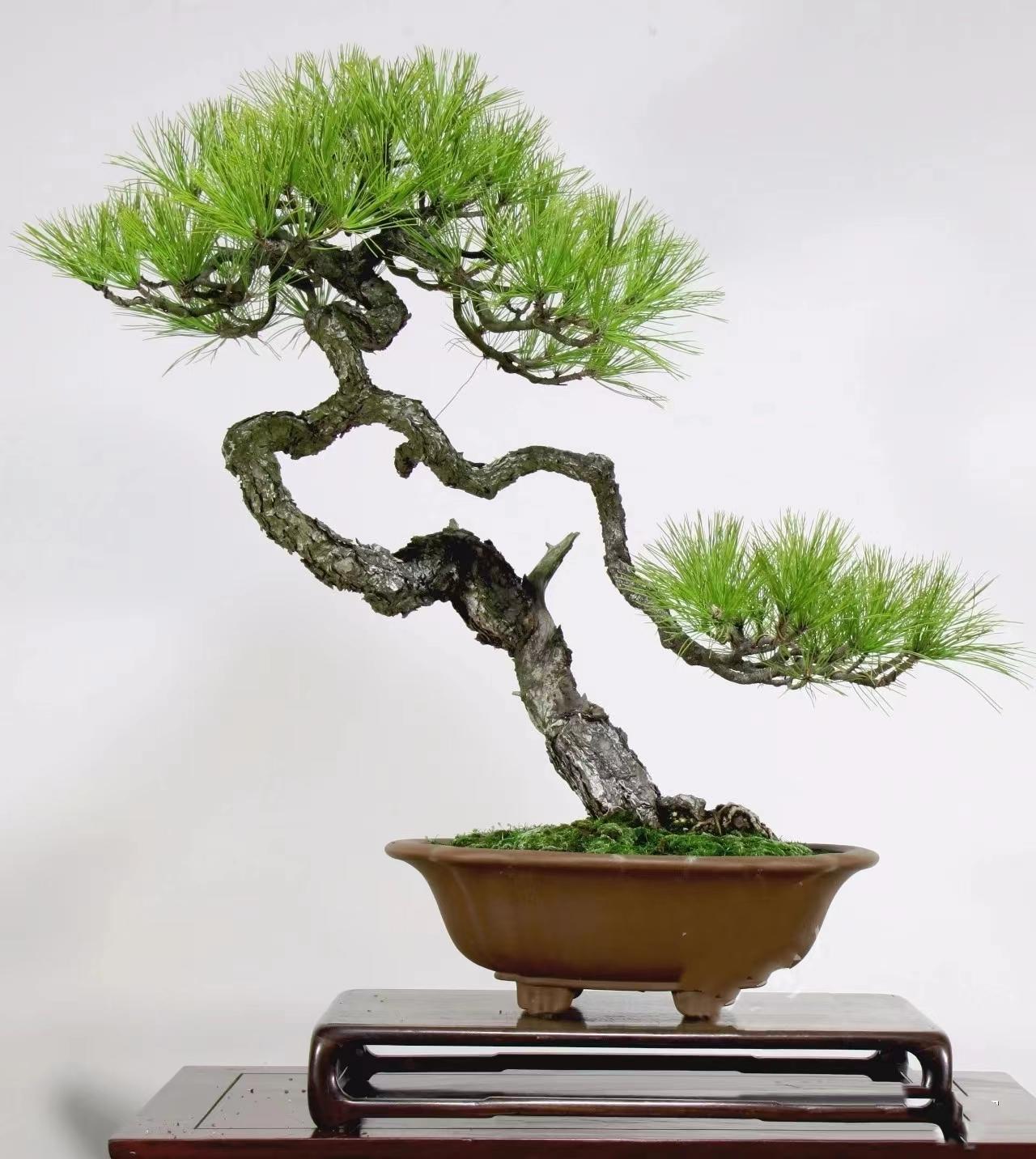 被男生揉下面什么感觉 被男即使已有亲密关系