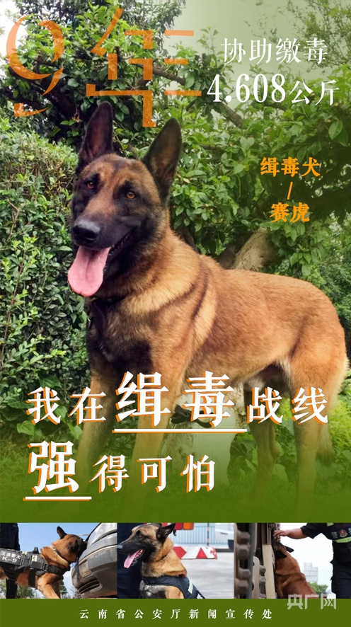 书剑恩丑录 书剑以清朝乾隆年间为背景