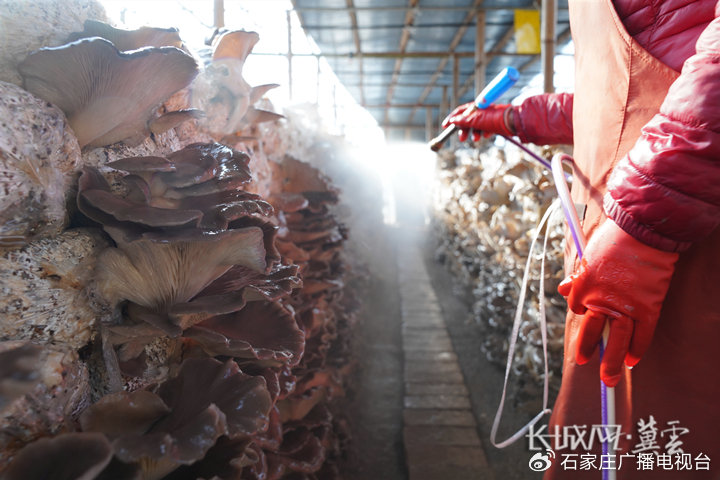 国产女爽爽视频精品免费 最好每隔半小时休息一下