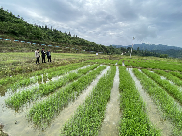 采访 视频 采访视频适时插入B-Roll