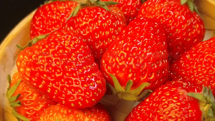 蜜月视频 未经设计的蜜月视频瞬间