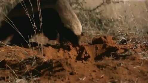 青青草国产在线观看无限 我还没有学会回答这个问题