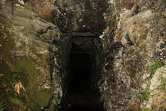 爱 爱是一个深邃而温暖的概念