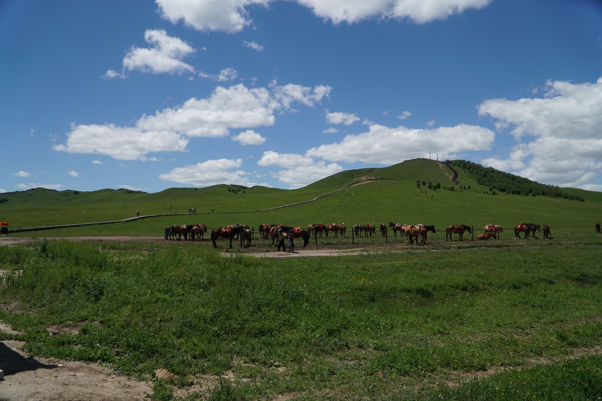 男同gv yandex 男同健康的男同信息需求