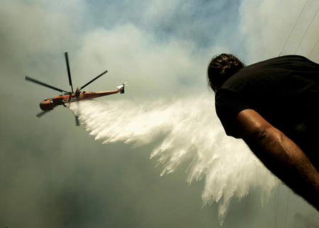 火影的养子在线观看