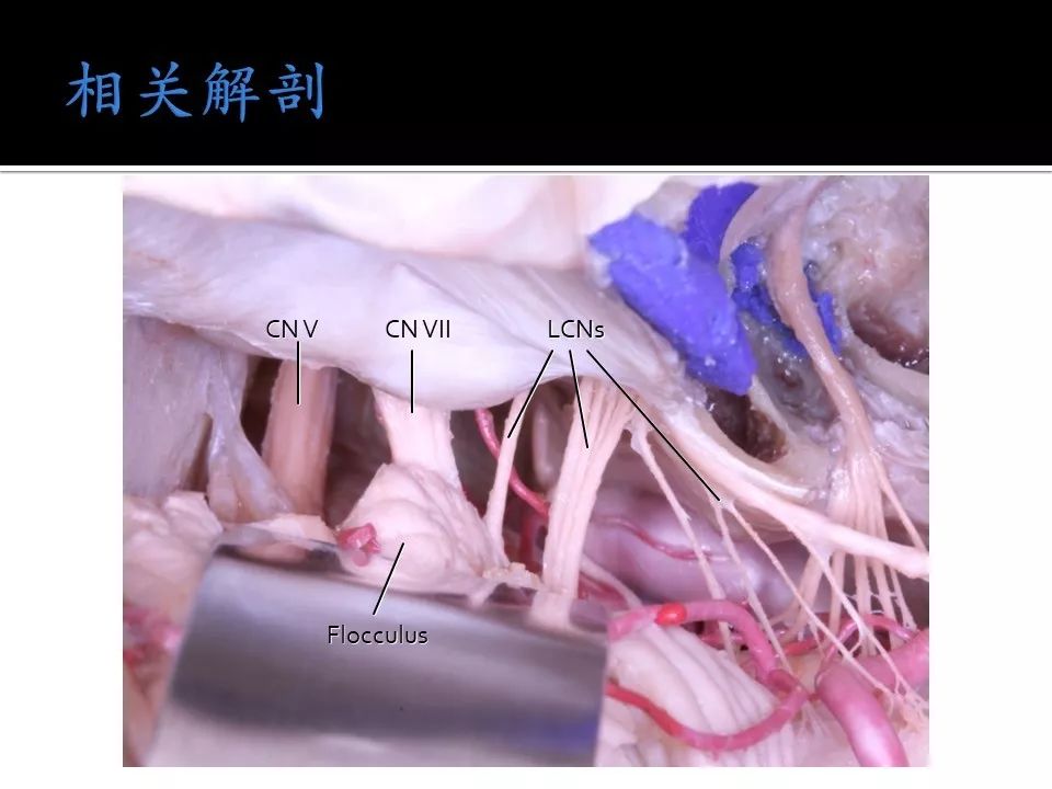 黄片 本片更侧重历史维度