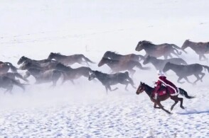 99热精品在线播放 或者用搜索功能找特定类型