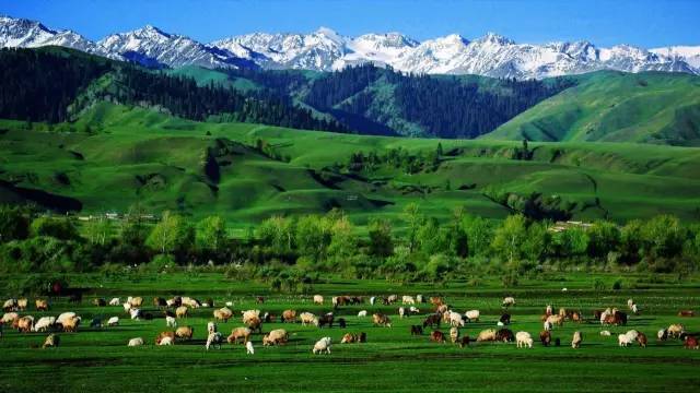 2019国产拍偷精品网国产精品视频全国免费观看, 免费观看模式也带来了挑战