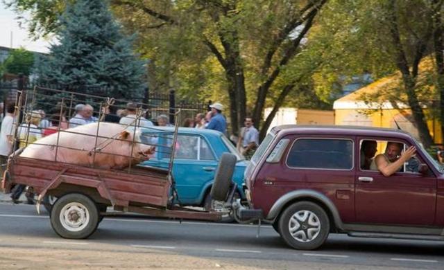 国产视频精品视频免费 国产值得注意的视频视频是