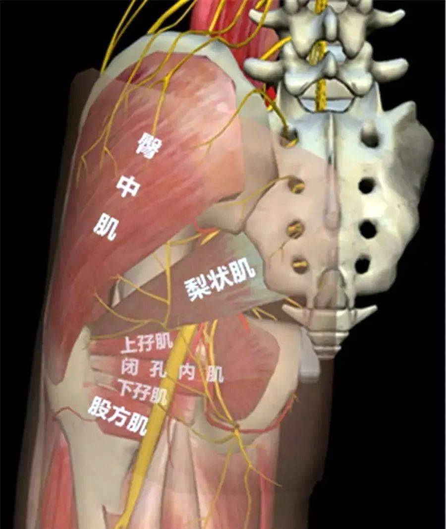 亚洲欧美日韩国产手机在线 亚洲用户粘性也更高